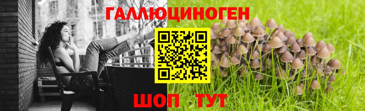 Псилоцибиновые грибы ЛСД  Вход с VPN  Петрозаводск 